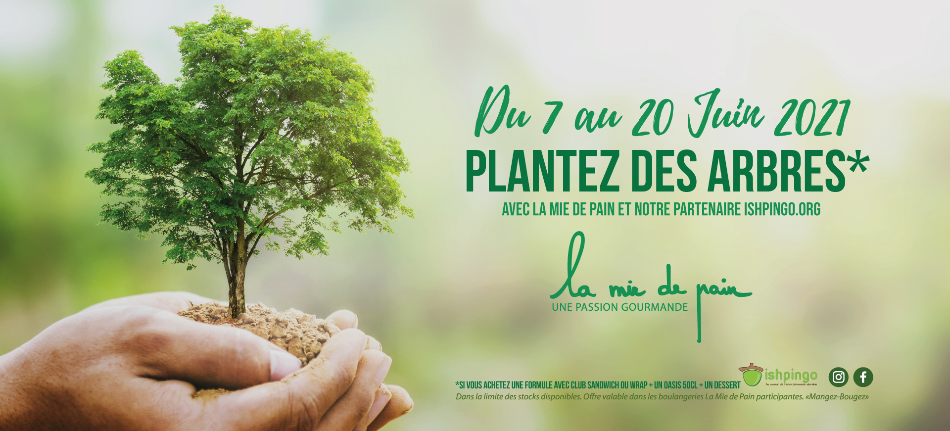 ACCUEIL-OFFRES-GOURMANDES-LA-MIE-DE-PAIN-PANTEZ-DES-ARBRES-AVEC-UNE-FORMULE-ET-UN-OASIS-JUIN-2021